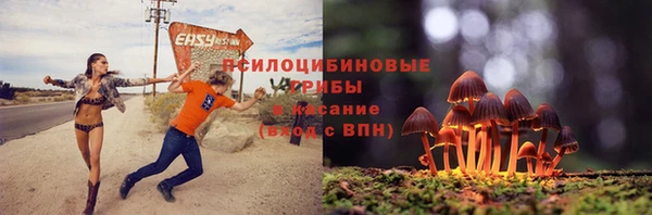 дурь Арсеньев