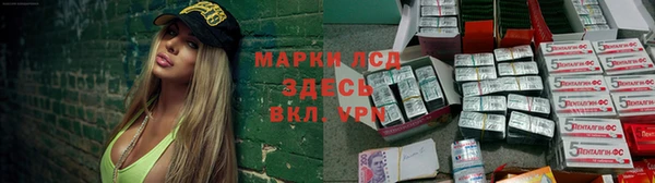 spice Аркадак