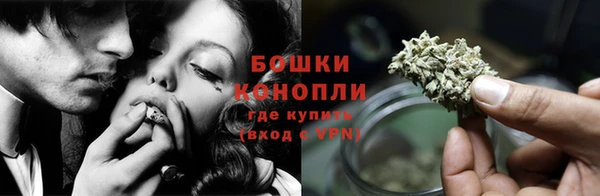 spice Аркадак
