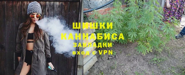 spice Аркадак