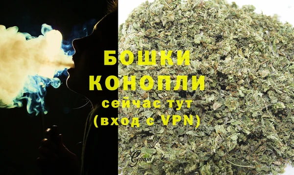 spice Аркадак