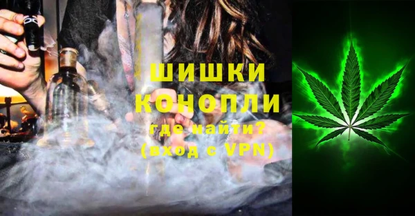 дурь Арсеньев