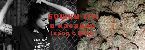 spice Аркадак