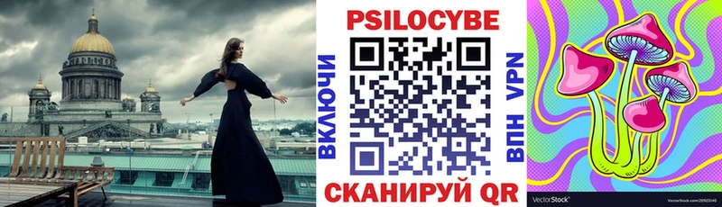 ОМГ ОМГ маркетплейс  Менделеевск  darknet какой сайт  Псилоцибиновые грибы прущие грибы 